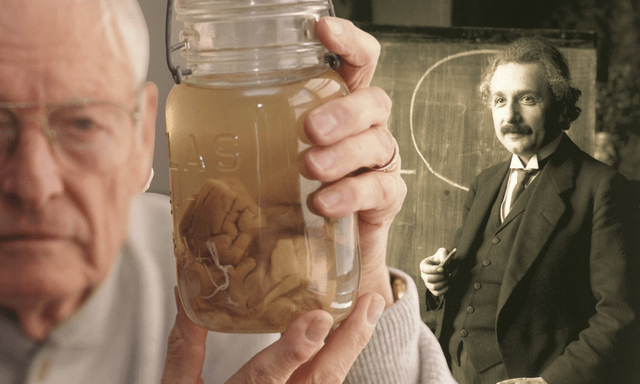Chuyện gì đã xảy ra với bộ não thiên tài của Albert Einstein sau khi ông qua đời?
