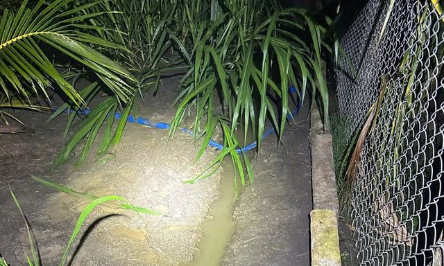 Hai người đàn ông tử vong trong vườn dừa, chi tiết từ hàng rào B40 khiến cả nhà bàng hoàng
