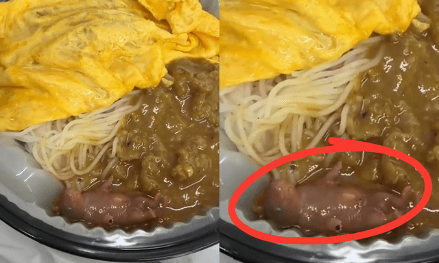 Mở hộp mì bò, nữ thực khách tá hỏa khi thấy chuột con còn sống bên trong, nhà hàng Hong Kong bị điều tra