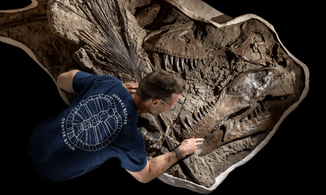 Khai quật dấu vết cực hiếm của khủng long T. rex sau 66 triệu năm 