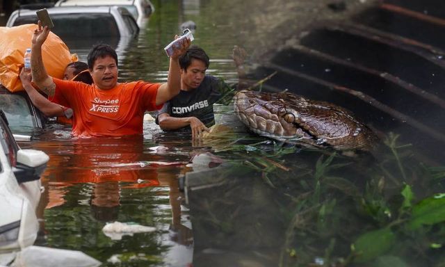 Những hình ảnh khó tin khi Bangkok ngập ngày thứ 3: 80.000 người mắc kẹt, ô tô chỉ còn thấy nóc