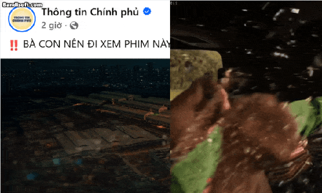 Thông tin Chính Phủ kêu gọi người dân xem bộ phim Việt đang càn quét phòng vé