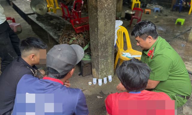 Đà Nẵng: Thử test ma túy đột xuất 39 công nhân làm việc tại các vườn trồng sâm Ngọc Linh 