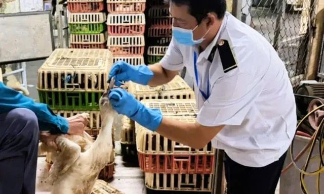 Kiểm tra chiếc xe màu trắng từ Đồng Nai vào TP.HCM lúc rạng sáng, phát hiện điều bất thường bên trong