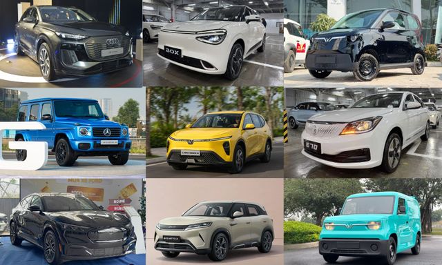 Toàn cảnh xe điện Việt Nam năm 2025: 300 triệu - 9 tỷ đồng, nhiều xe nhưng không phải mẫu nào cũng có khách