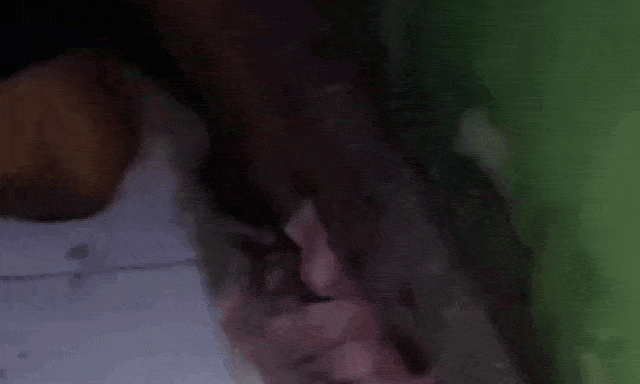 Tường nhà bất ngờ 