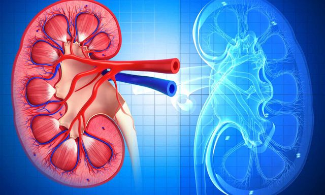 Những người có thận yếu thường có 10 dấu hiệu này trên cơ thể: Hãy kiểm tra ngay!