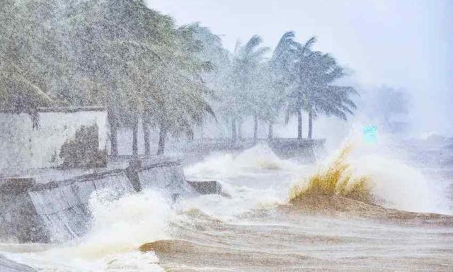  Bão số 10 Bualoi đã 