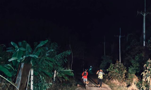 Hơn 100 sinh vật khổng lồ tràn qua khu rừng lúc 2h sáng, cảnh tượng khiến người dân thấp thỏm cả đêm