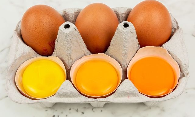 Ăn lòng đỏ trứng gây đau tim? Bác sĩ tiêu hóa tiết lộ sự thật