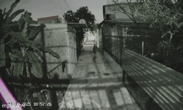 Đang uống rượu thì nhớ ra chuyện bạn kể, người đàn ông cầm gạch ném vào nhà dân: Lộ thêm sai phạm 