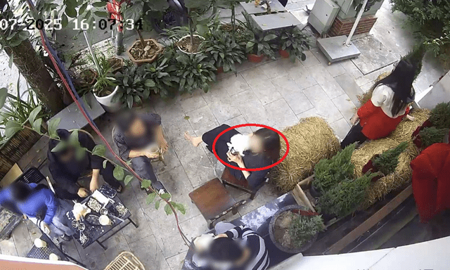 Bị nhắc vì cho chó uống cốc của quán, khách tức giận xưng 