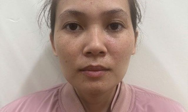 Bắt giữ, xử lý Đinh Mộng Duy 