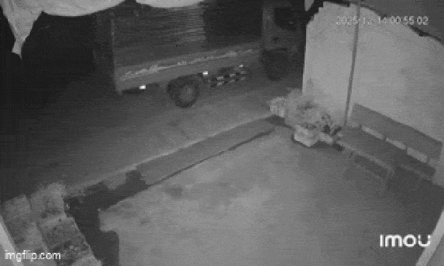 Camera ghi lại cảnh 3 người đi cùng xe máy gặp nạn, tử vong lúc 1 giờ sáng 