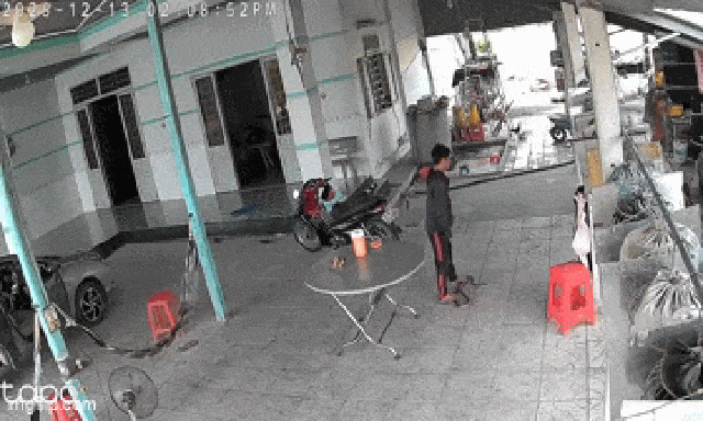 Người đàn ông tay không bắt rắn bò vào sân nhà: Clip 29 giây khiến người xem 