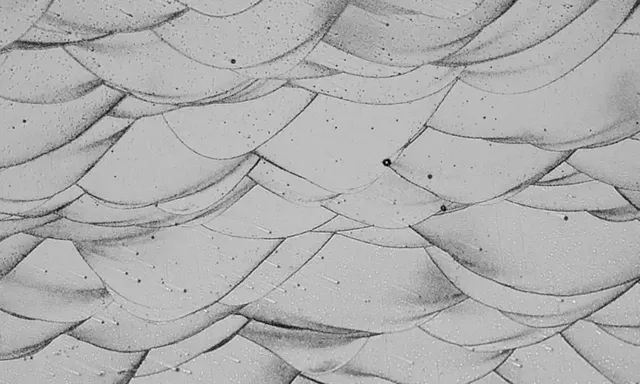 Phát minh phá vỡ truyền thống về 