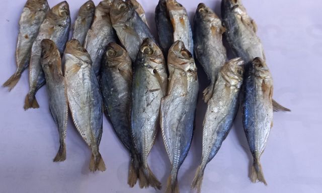 3 loại cá làm tăng nguy cơ mắc ung thư: Toàn món khoái khẩu của nhiều người