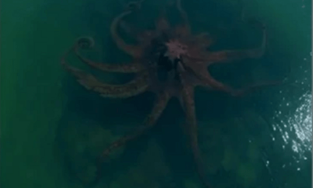 Bất ngờ phát hiện 