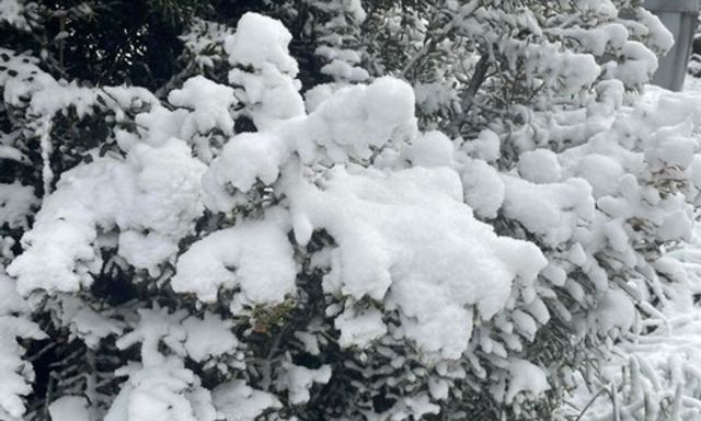 Nơi vừa có tuyết rơi hiếm có sau gần 20 năm!