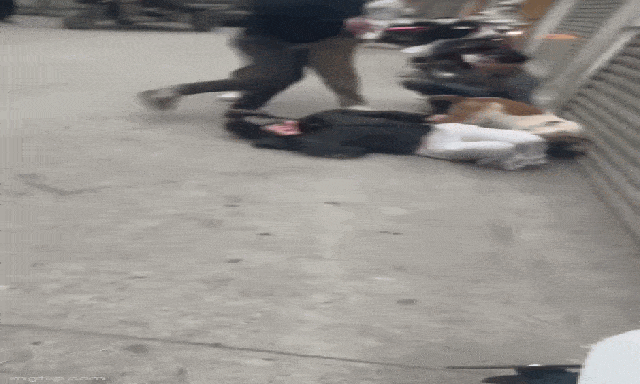 Xôn xao clip thả chó cắn vào mặt, chân người phụ nữ đi đường ở Hà Nội