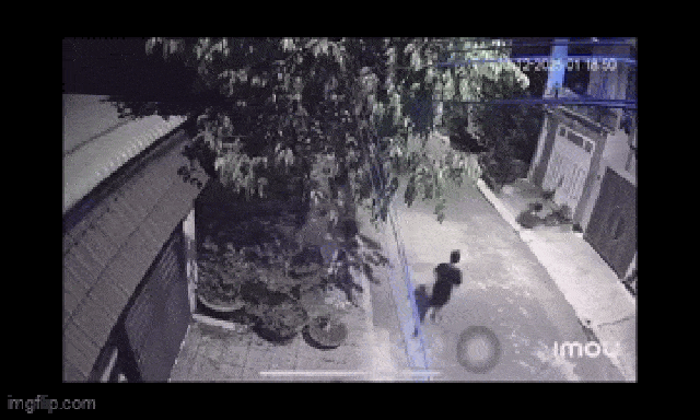 Bố khóc nấc, chạy sang nhà hàng xóm đập cửa cầu cứu lúc đêm khuya: Nhói lòng câu chuyện phía sau