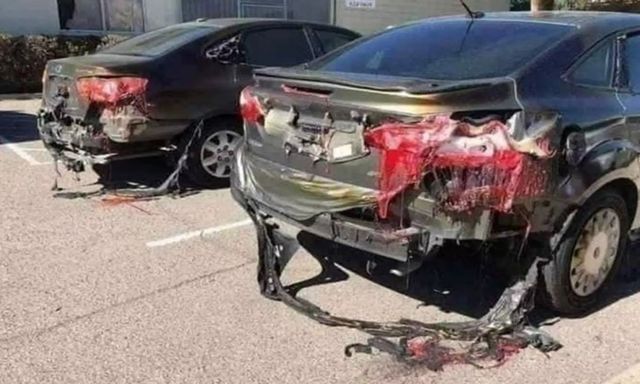 Thành phố nóng nhất thế giới: Cá bị luộc chín, chim rơi xuống đất mà con người vẫn bám trụ bằng cách này