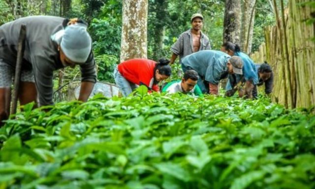 Nông nghiệp Cuba bùng nổ, sở hữu 4.000ha được làm giàu từ 