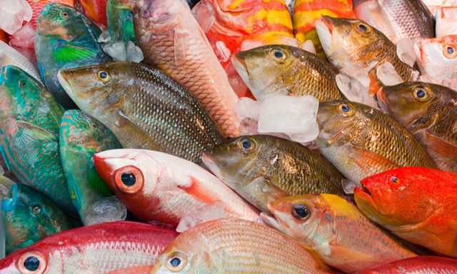 3 bộ phận của cá không nên ăn: Có thứ cực độc nhưng nhiều người tưởng là bổ