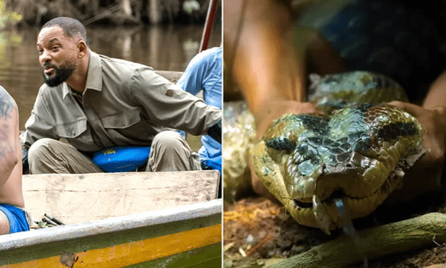 Will Smith chạm trán nghẹt thở với loài rắn khổng lồ mới ở Amazon: Dài tới 5m, cơ thể dày ngang thân cây
