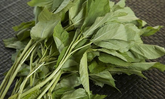 Việt Nam có loại rau nhiều sắt hơn thịt bò: Bổ tim, ngừa ung thư nhưng nhiều người chê không ăn