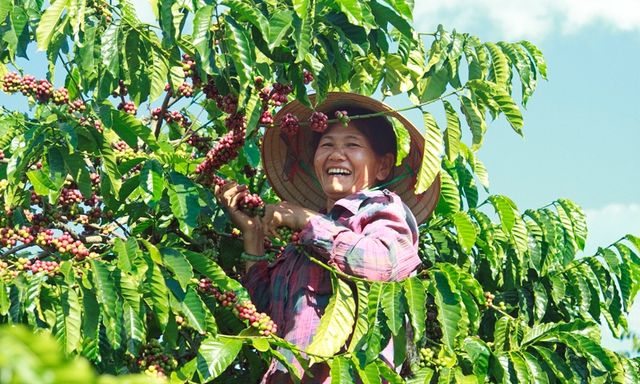 Việt Nam - quốc gia sở hữu 