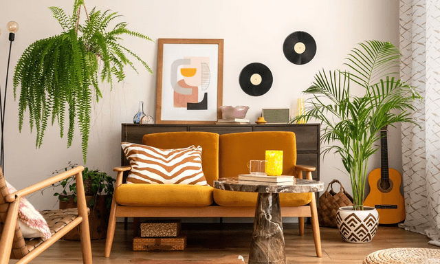 Loại cây được dự đoán ‘hot nhất năm 2026’: ‘Hút’ bụi mịn, lọc không khí cực đỉnh