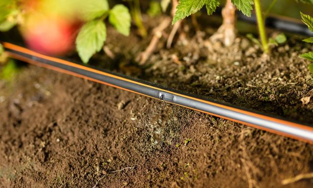 Việt Nam áp dụng thành công 