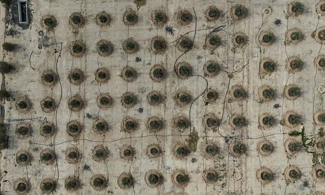 Iraq đang huấn luyện 