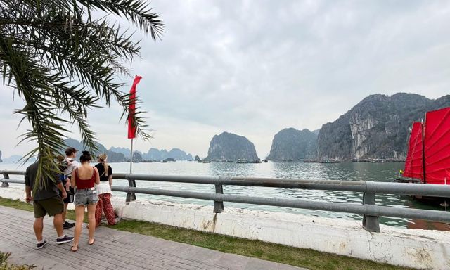 Cảnh tượng ngay lúc này trên vịnh Hạ Long: Sau gần 30 năm mới thấy lại, nhiều người không tin vào mắt mình