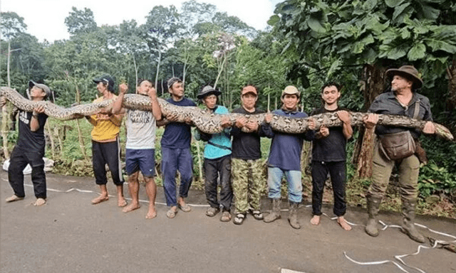 Vô tình bắt được 