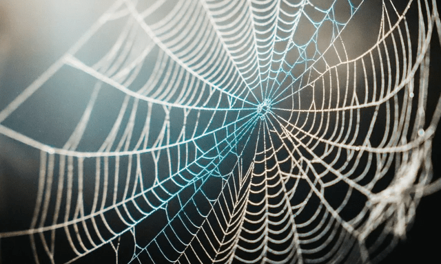 Vừa giải mã thành công bí mật siêu phàm 