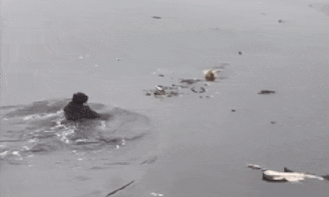 Đôi vợ chồng cứu cụ ông ngã xuống sông giữa ngày giá rét ở Hà Nội: Nạn nhân phải nhập viện phẫu thuật