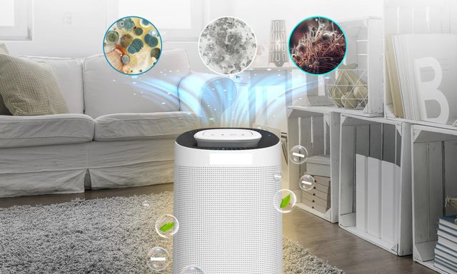 Cứ dùng máy hút ẩm kiểu này thì bảo sao 