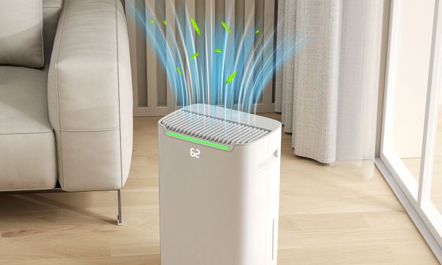 Máy hút ẩm mất bao lâu để làm khô một căn phòng, đâu là mẹo 