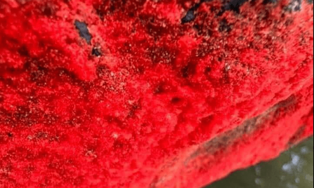 Cảnh tượng lạ trên một dòng sông ở Việt Nam: Tảng đá bỗng đỏ rực như 