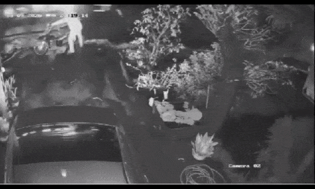 Camera vụ thầy hiệu trưởng tử vong sau khi bị ô tô của bạn lùi trúng, tông văng ra đường