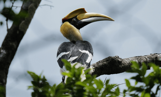 Bất ngờ ghi nhận 