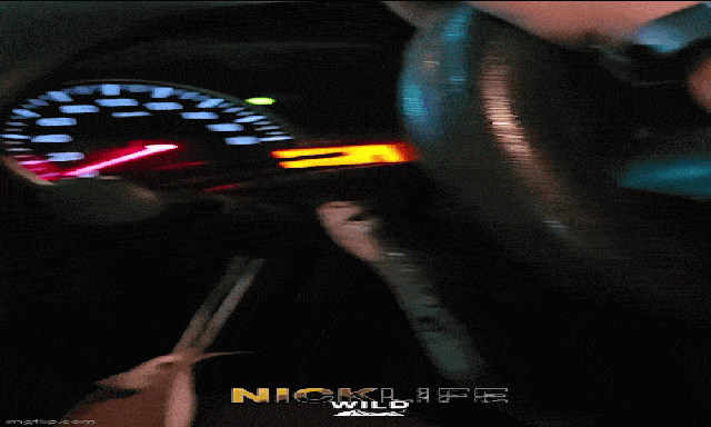 Chuyên gia bắt rắn kể lại giây phút sinh tử khi con rắn hổ mang bất ngờ cắn rách bao tải, bò khắp xe ô tô