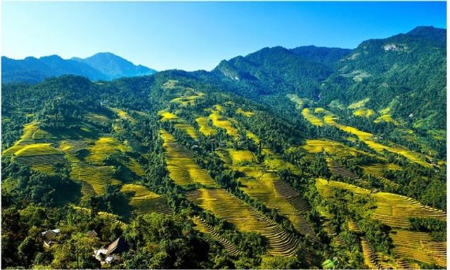 Việt Nam sở hữu 