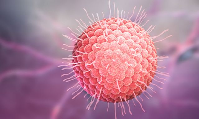 78% người lớn có một số bệnh lý mạn tính lo ngại zona gây gián đoạn cuộc sống