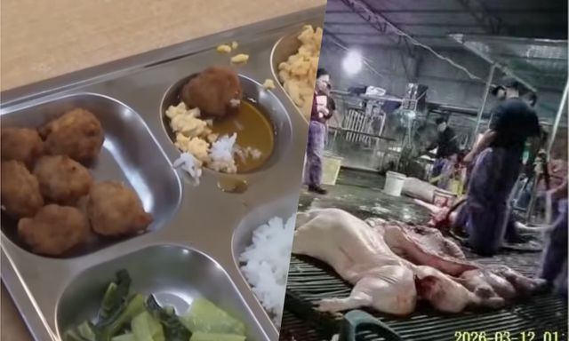 Vụ 300 tấn thịt lợn bệnh: Bất ngờ lời 