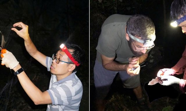  Phát hiện loài thú mới tại Việt Nam: Hé lộ 