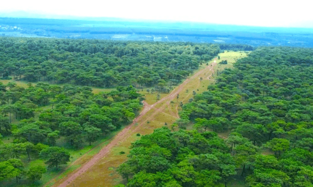 Nơi được FLC của ông Trịnh Văn Quyết chọn để chuẩn bị làm sân golf 1000 tỷ đồng: Có gì đặc biệt?