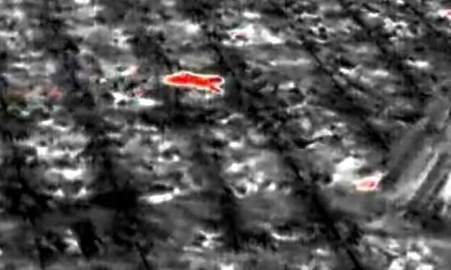 Sinh vật bí ẩn phá nát vườn chuối suốt 2 tuần: 60 người truy tìm khi camera nhiệt ghi lại bóng dáng lạ